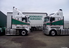 Boomaroo Nurseries is located in Lara, south west of Melbourne.