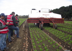 Laserweeding kills weeds at the meristem before they compete for precious resources.