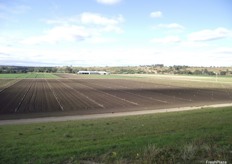 The farm is located at Bacchus Marsh, west of Melbourne.