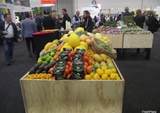 After Hort Connections was finished, most of the fruit and vegetable on display was donated to charity Foodbank to help people who are struggling to afford food, particularly healthy food.