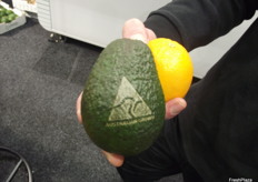 There is a 3D camera and a laser inside which maps the fruit as it comes through and the Co2 laser will brand a logo or company name directly onto the fruit. 