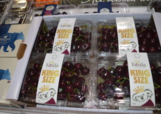 Koala cherries!