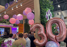 Party at the BerryWorld stand for their 30th anniversary