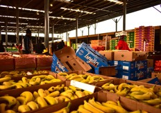 Since renovations, the Tshiamo Market has hosted around 180 traders who buy all of their stock at the main Joburg Market on-site.