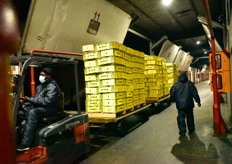 Joburg Market's banana ripening facility.