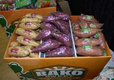 Recently, purple and white flesh sweet potatoes were added to Bako Sweet's Single Sweet line. 