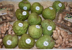 Cherimoya, a new product for HLB Specialties. 