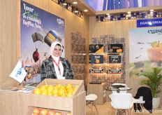 Egast is one of the major Egyptian citrus exporting companies.