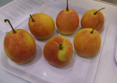 Yunnan Pears, grown in Yunnan, China, were showcased in the booth of HortReseach.