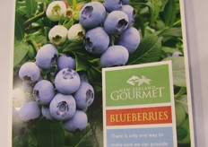 Blueberries grown in New Zealand - also in greenhouses.