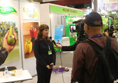 Interview with The Greenery by the Chinese state television.