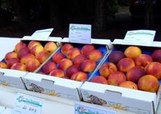 Vivai Battistini presented other new peach varieties.