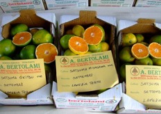 Bertolami is a fruit tree nursery which is specialized in citrus.