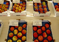 The fruit show. Apples and pears' section.