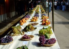 A section is also available, where some ancient, rare and peculiar Italian fruit varieties are shown. These varieties enable breeders to preserve the genetic richness of Italian fruit.