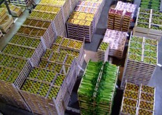 Fruit and veg pallets.