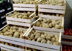 American potatoes by Pighi Rita stand.