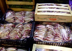 Typical radicchio from Verona by Sempreverde stand.