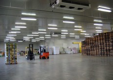 Inside the logistic platform (3.200 square meters). Temperature is mantained low in order not to break the cold-chain.