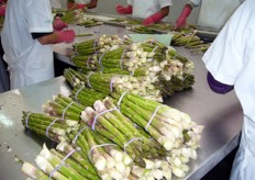 Asparagus bunches.