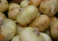 Onions from Peru at the booth of Chestnut Hill Farms