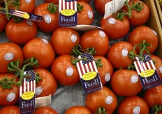 Real American tomatoes at the booth of Euro Fresh Farms