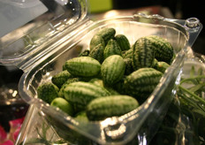 An innovation of Koppert Cress: mini watermelons that taste like cucumbers