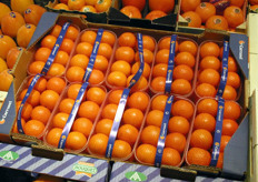 Mandarins in a tray with a net