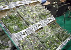 Lettuces and herbs in small packagings