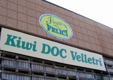 "FreshPlaza has visited Italian firm Frutti Felici, which is located in Velletri (near Rome) and which is specialized in kiwi fruit production and commerce. "Kiwi DOC Velletri" is the brand for all kiwi production of this area."