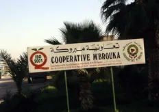 "The Moroccan cooperative M'Brouka annually exports 25,000 MT of citrus fruit. This is about 1200 containers each year, or 4 - 5 containers daily. "The most important export market is the United States, absorbing about 50% of our fruit. Canada takes about 25%, 10% is exported to the port of Rotterdam (Netherlands), and the remaining volume has a variety of destinations", says president Abderrazak Mouisset of Agri-Souss. In total, M’Brouka disposes of an acreage of about 1600 hectares (4,000 acres), of which 600 hectares of clementines, 300 hectares of Nour, 100 hectares of Navel, 250 hectares of Salustiana, 300 hectares of Maroc Late and 50 hectares of other citrus varieties. M'Brouka's own packing station has a surface of 25,000 sq.m and employs between 50 and 400 people. Agri-Souss is responsible for the logistic and financial operations."