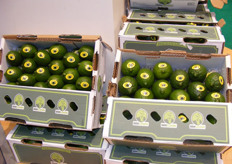 Don Limón limes in cartons