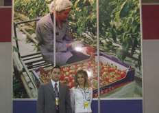 Yusuf Şahin Tetik (l) and his colleague of Türkel Greenhouse Ltd.