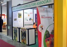 Stand O.P.O. BELLAGUARDA s.a.c.r.l.