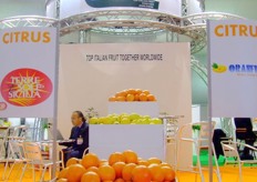 Area dedicated to citrus sector brands, which take part in Macfrut International project.