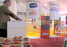 Area dedicated to Soft Fruit sector brands, which take part in Macfrut International project.