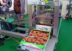 Complete packaging lines for fruit and vegetables Counting m/c, Dispenser, Check weight, Tray filling m/c.