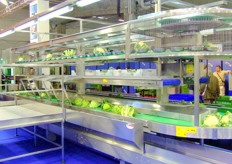 Category of TECNOFRUTTA: Machines for producting and processing IV and V Range products, Processing systems for fruit and vegetables.