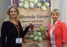 Carlifonian table grapes. Perfectly represented by Nadya Kovalenko and Ksenia Evdokimova (General director of Crispconsulting St. Peterburg Russia.)