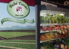 Babe Farms: Babé Farms is a premier grower, packer and shipper of the finest specialty vegetables available.