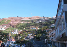 The island of Madeira is characterized by the steep slopes which sometimes rise almost vertically from the sea. Farmers create terraces to increase the amount of usable grounds.