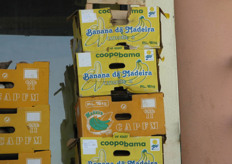 Banana boxes of the local cooperative