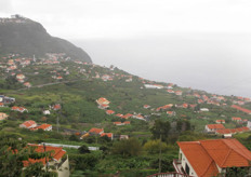 One of the few flat areas at the south coast is nearly completely covered by banana plantations.