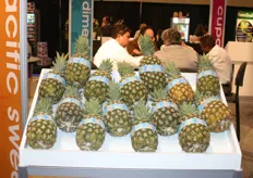 Pineapples from Mexico