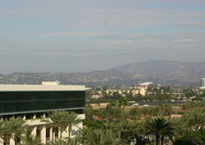 Outlook from the 3rd floor at the convention center