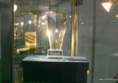 The Tesco Innovation Award trophy