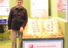 Association of producers and dealers of grenades of Elche