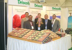 The team of Driscoll's