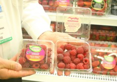 Naturipe Farms presents two new varieties of raspberries: Pacific Royal and Pacific Delight