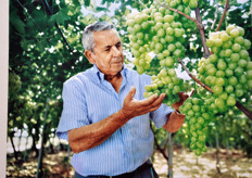 Giuliano firm, which is nowadays partner and provider also of the Spanish Group San Lucar, is managed by the second generation of the Giuliano's family. The founder Antonio (in the picture), who is still everyday active in the firm, is now helped by his three sons: Vito, Gianni e Nicola.